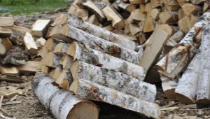 Brennholz aus Birke