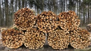 Wie bereitet man Brennholz vor?