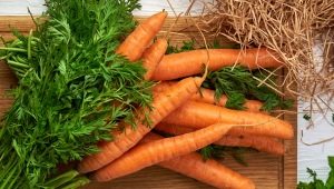 Poids de la carotte