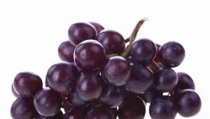 Paarse druivensoorten