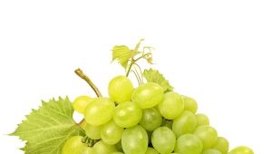 Groene druivensoorten