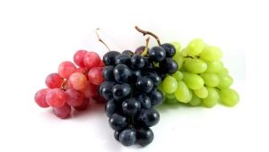 Universele druivensoorten