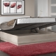 Features of choosing a gas lift for a bed
