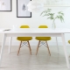 Plastic chairs for the kitchen: pros and cons