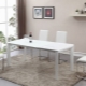 Beli stolovi: izbor dizajna