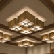 Vierkante plafondlampen
