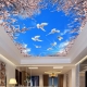 All the subtleties of choosing ceiling wallpaper