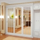 Mirrored wardrobes for the hallway in a modern interior