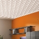 Seamless ceiling tiles: distinctive features and varieties