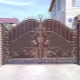 How to choose a gate: characteristics of popular types