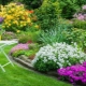 Beautiful flower beds: layout features in landscape design