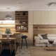 Kuchyň-obývací pokoj ve stylu minimalismu: vlastnosti a vlastnosti