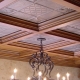 Foam ceiling tiles: general information and varieties