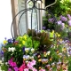Der Blumentopf ist eine stilvolle Dekoration für den Garten und die Straße