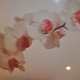 Spanplafond met een orchidee: origineel decor in het interieur