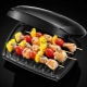 Russell Hobbs grill: an overview of popular models