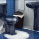 Cum să alegi și să instalezi un sifon de toaletă?