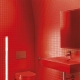 Červená toaleta: typy a nápady na design