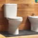 Επιδαπέδιες τουαλέτες με καζανάκι: χαρακτηριστικά και δημοφιλή μοντέλα