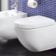 Onderscheidende kenmerken van Villeroy & Boch toiletten