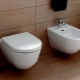 Závěsné WC mísy Laufen: vlastnosti a výhody modelů