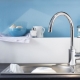 Grohe faucets: assortment and colors