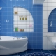 Finesser af toiletdesign i forskellige stilarter