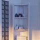 Hoekkasten in het interieur van badkamers: de voordelen van modellen en tips om te kiezen