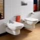 Toilet without a cistern: features and types of designs