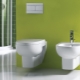 Λεκάνες τουαλέτας Jacob Delafon: παραγωγή και χαρακτηριστικά χρήσης