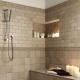 بلاط الحائط في الحمام: أفكار أصلية في التصميم الداخلي