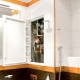 浴室和卫生间卫生舱口的特点和尺寸