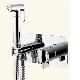 Features of wall-mounted bidet faucets with hygienic shower