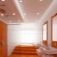 Suspended ceilings in the bathroom: stylish solutions in interior design