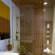 赫鲁晓夫的浴室改造：过时的室内改造