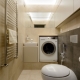 Machine à laver dans les toilettes: avantages de placement et idées de conception