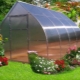 Greenhouse Drop: Eigenschaften und Installation