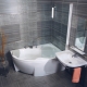 Ravak bathtubs: features and assortment overview