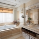 私人住宅的浴室：有趣的设计理念