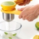 Odšťavňovač citrusů: tipy pro výběr a použití