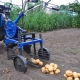 Neva motoblocks 的土豆挖掘机：类型和使用技巧