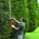 Features of electric brush cutters