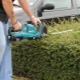 Features and types of brush cutters