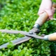 Features of handheld hedge trimmers