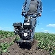 De subtiliteiten van het proces van het rooien van aardappelen met een achterlopende tractor