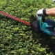 All about Makita brushcutters