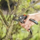 All about ratchet pruning shears