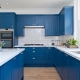 White and blue kitchens