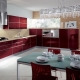 Burgundy cuisine: features, styles and design options