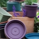 Flower pots: types and recommendations for choosing